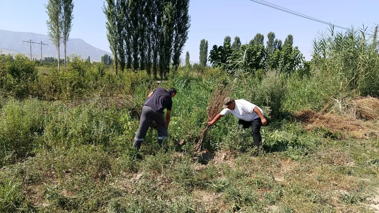 А.Масалиев айыл аймагында бүгүн 2025-жылдын 12-июлунда жалпы ишембилик уюштурулуп өткөрүлдү