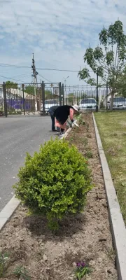 А.Масалиев айыл аймагында жалпы ишембилик өттү.